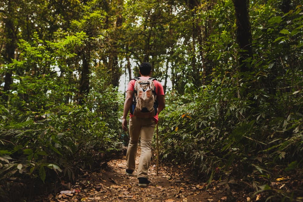 Trekking